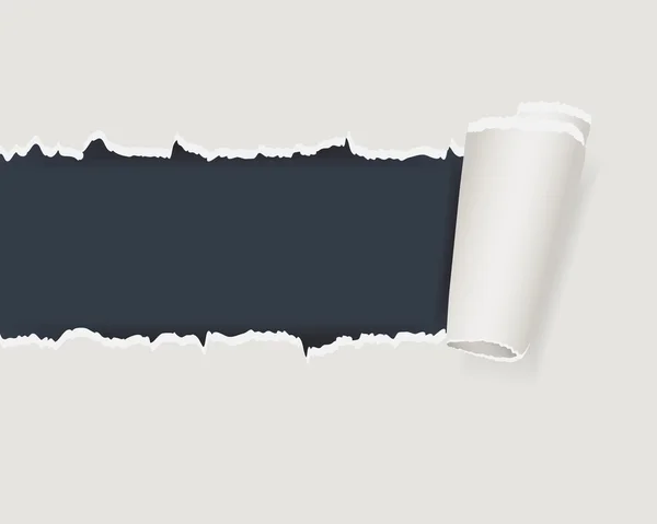 Papier déchiré avec espace pour le texte — Image vectorielle