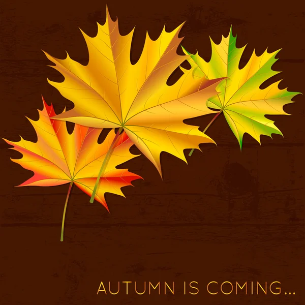 Autumn card. — Stock Vector