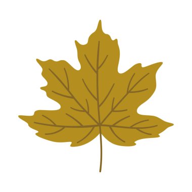 Beyaz arka planda akçaağaç yaprağı. Sonbaharın sıcak renkleri, tasarım için yeşil renkli vektör illüstrasyonu.