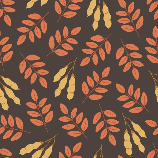 Motif Sans Couture Automne Avec Des Feuilles Des Graines Acacia — Image vectorielle