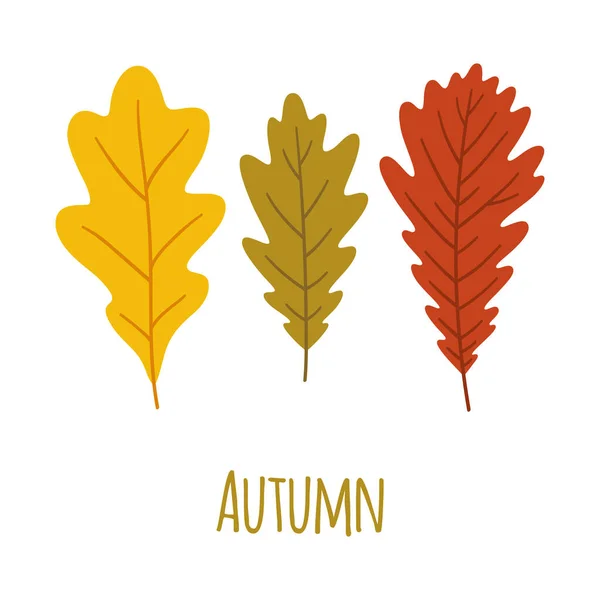 Autumn Leaves Set Fall Foliage Oak Yellow Green Red Colors — Stock Vector