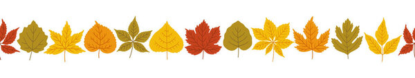 Autumn leaves background, banner template. Fall foliage of maple, linden, poplar, horse chestnut, virginia creeper, hawthorn in red, orange, yellow, green colors. Seamless ornament vector illustration