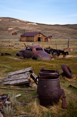 Bodie