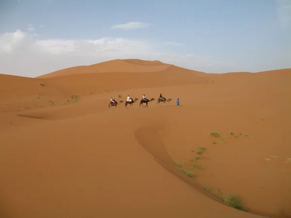 Désert marocain — Photo