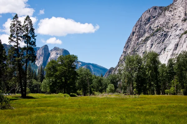 Prado en el Parque Nacional Yosemite — Foto de Stock