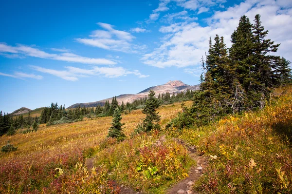 Crater lake trail Stock Photo