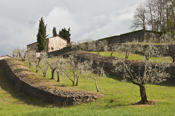 Chianti — Fotografia de Stock