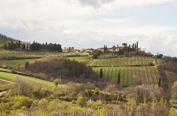 Chianti — Stockfoto