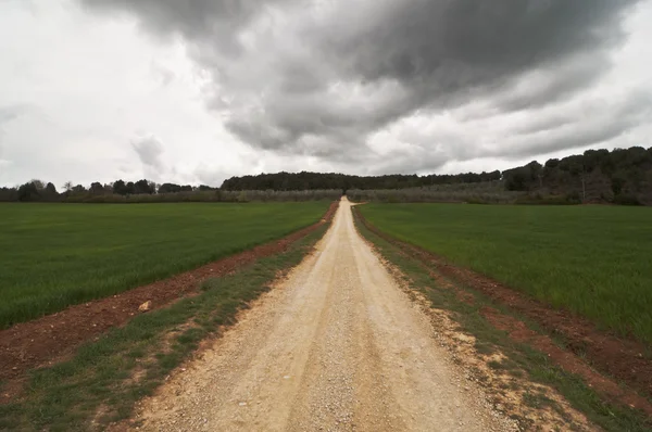 Tuscan countryside — Stock Photo, Image