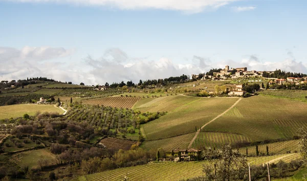 Chianti — Stok fotoğraf