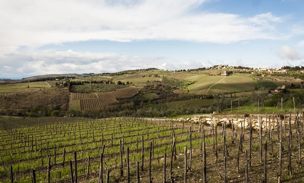 Chianti — Stockfoto