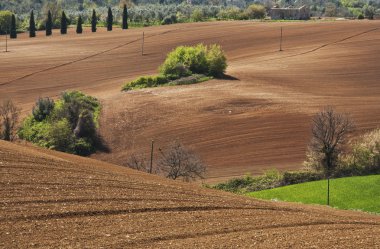 Chianti