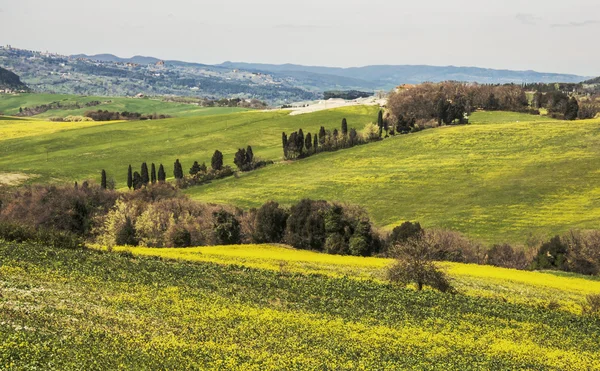 Chianti. — Foto de Stock