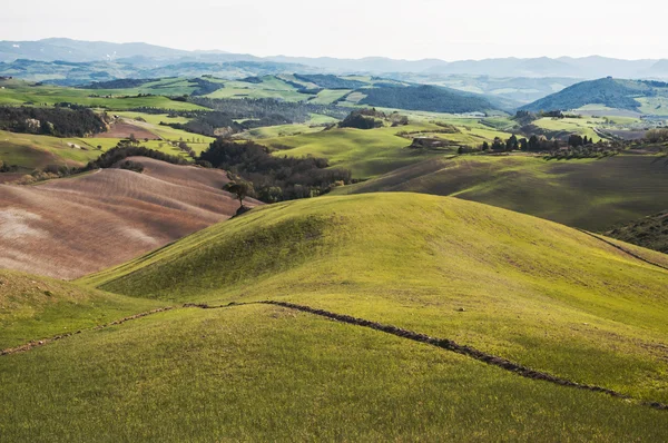 Chianti — Stock fotografie