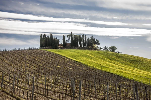 Countryside in Chianti, Tuscany, Italy — Stock Photo, Image