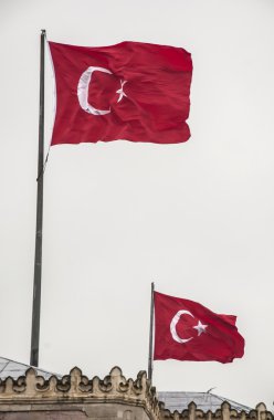 Türk bayrakları