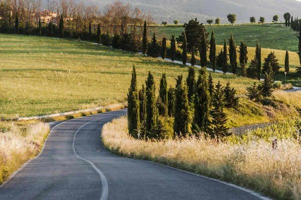 Campo toscano — Foto Stock