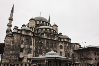 Cami