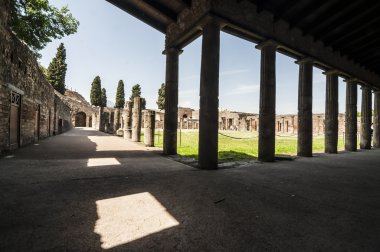 Pompeii Palestra