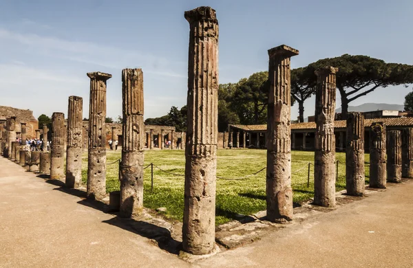 Pompeji palestra — Stockfoto