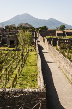 pompeii