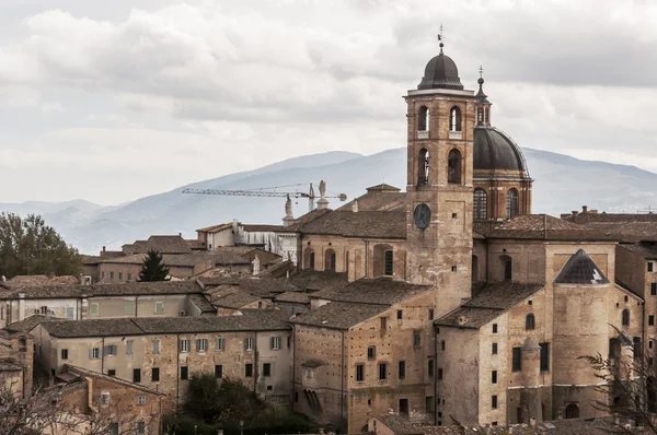Urbino — Stok fotoğraf