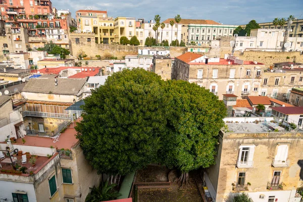 Vecchi Condomini Sovraffollati Con Balconi Vita Densa Nel Centro Sovrappopolato — Foto Stock