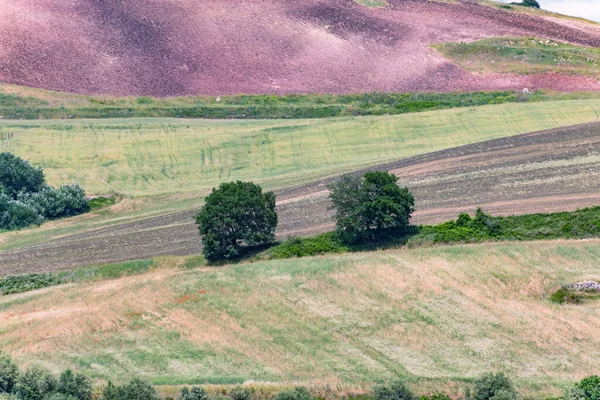 Barevná Krajina Jižní Itálii Době Jarní — Stock fotografie