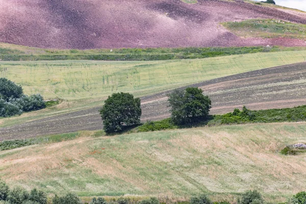 Paesaggio italiano in primavera in Basilicata — Foto Stock