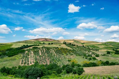 bahar süre boyunca Güney İtalya renkli manzarada