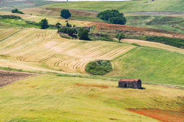 Paesaggio Colorato Nel Sud Italia Durante Periodo Primaverile — Foto Stock