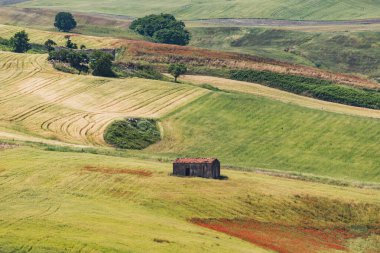 bahar süre boyunca Güney İtalya renkli manzarada