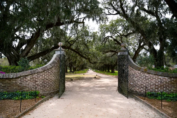 Brána Plantáži Boone Hill Charlestonu Usa — Stock fotografie