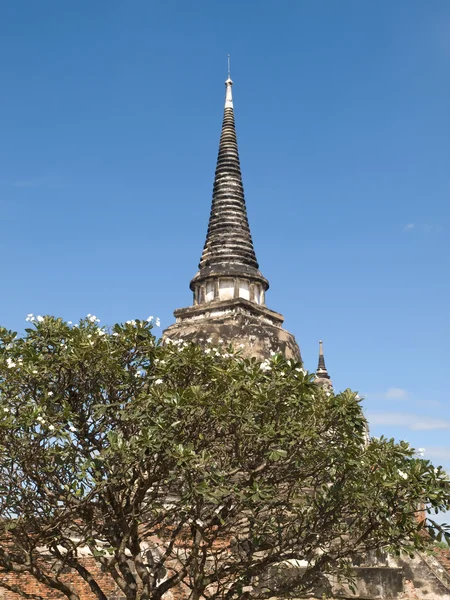 Wat Phra Sri Sanphet — Stock Photo, Image