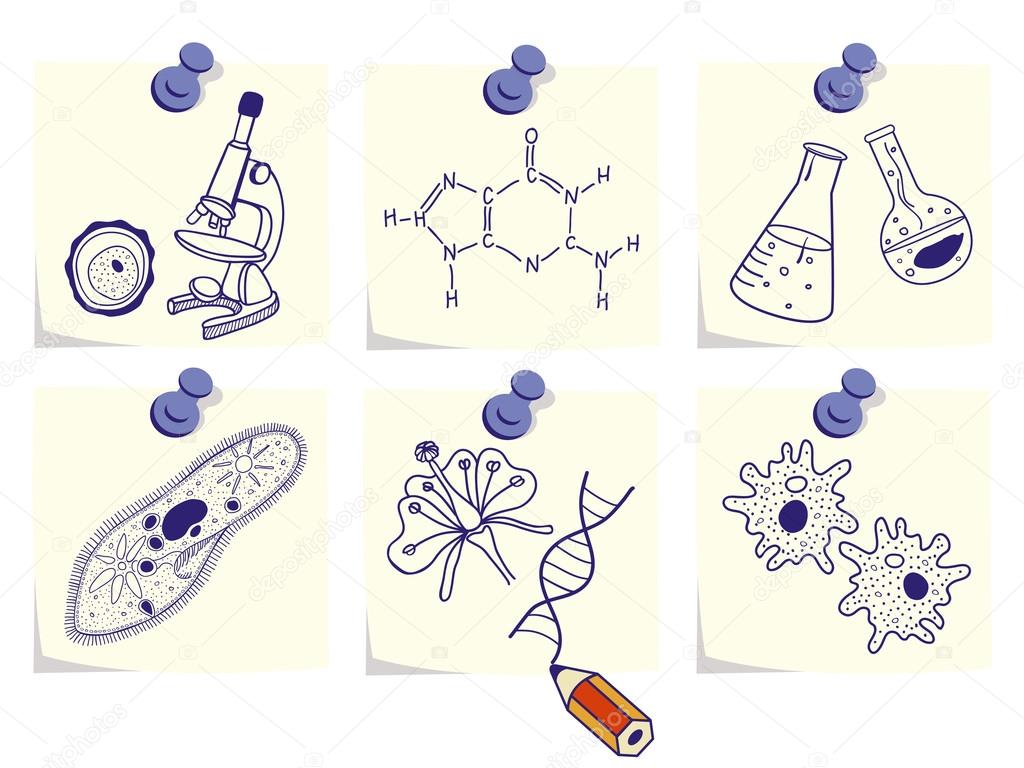 download neurologische grundlagen bildlicher