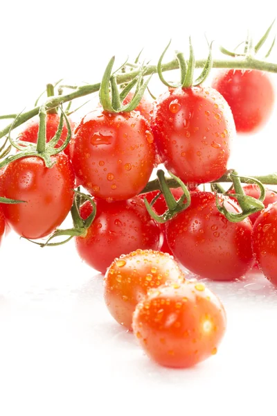 Wijnstok tomaten — Stockfoto
