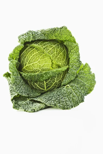 Savoy cabbage, Wirsing — Stock Photo, Image