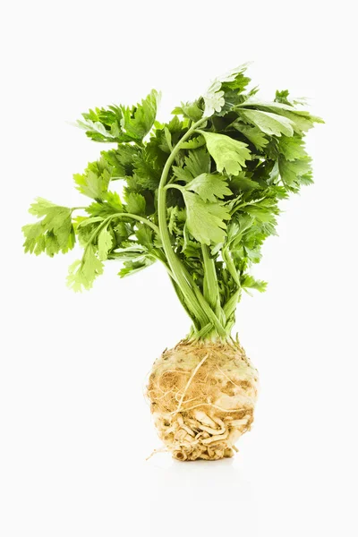 Celery — Stock Photo, Image