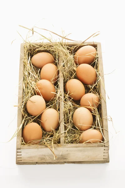 褐色鸡蛋 — 图库照片