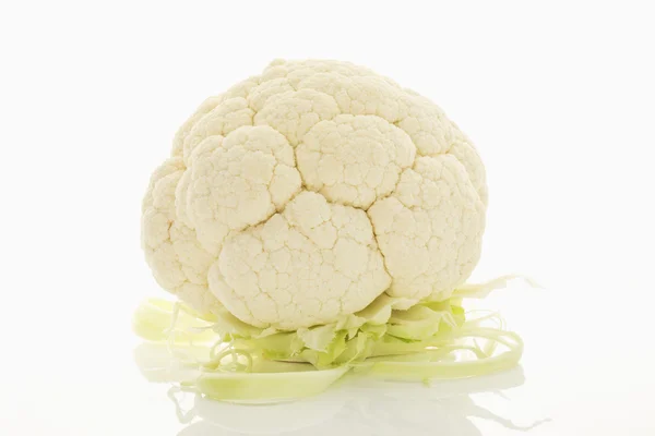 Cauliflower — Stock Photo, Image