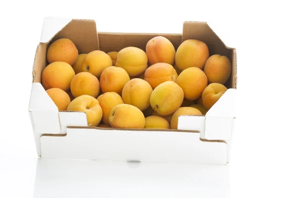 Apricot — Stock Photo, Image