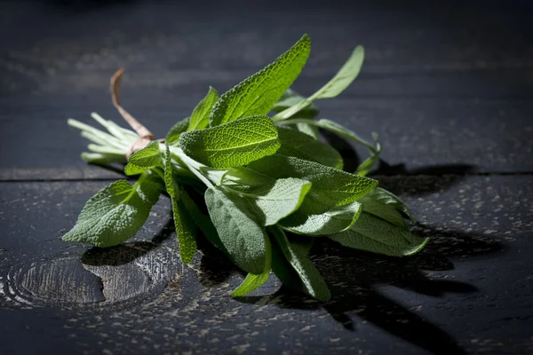 Sage, Salbei — Stock Photo, Image