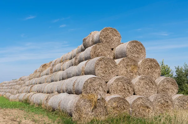 Haystack — Stock Photo, Image