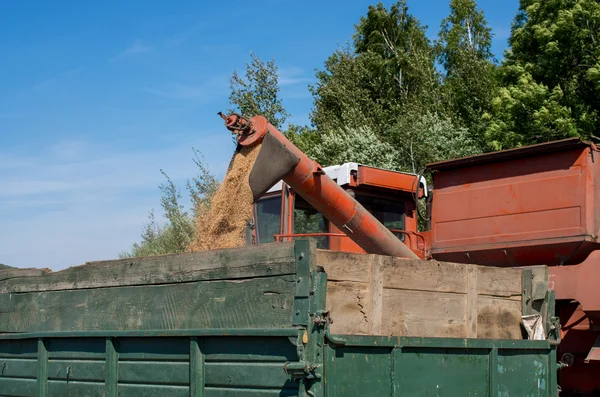 Una cosechadora vierte grano en un camión volquete —  Fotos de Stock