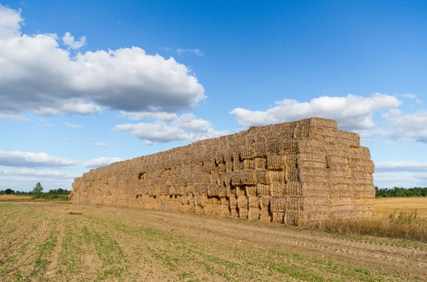 Haystack — Stock Photo, Image