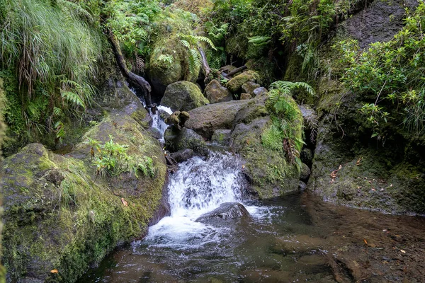 Madeira Adası 'nda mini şelale