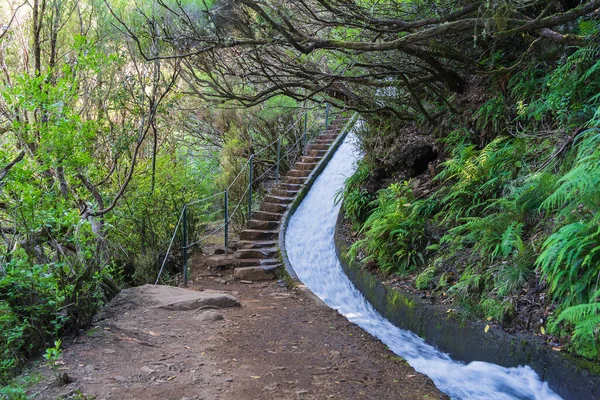 Levada Nevű Vízvezeték Rendszer Madeirán — Stock Fotó