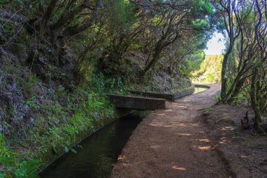 Portekiz 'deki Madeira adasında Levada sulama kanalı boyunca yürüyüş.