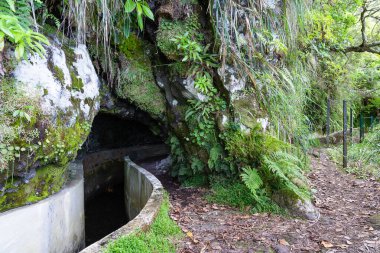 Portekiz 'deki Madeira adasında levada sulama kanalı boyunca yürüyüş. Levada do Furado.