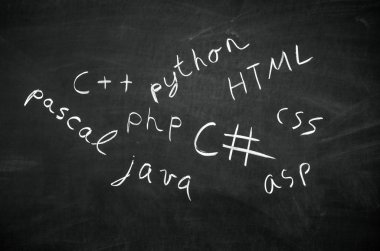 programlama dilleri